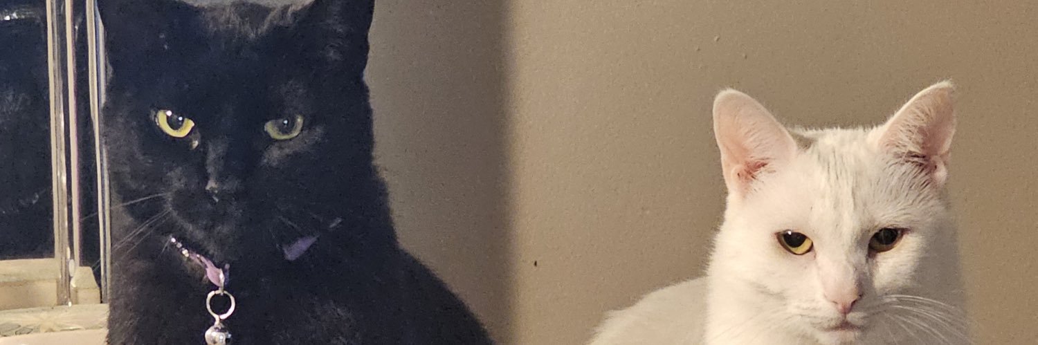 sher43406's profile banner image