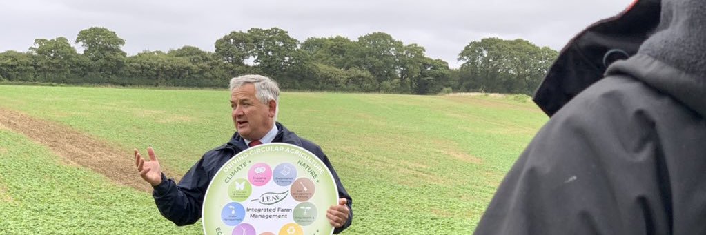 Andy Guy Consulting banner