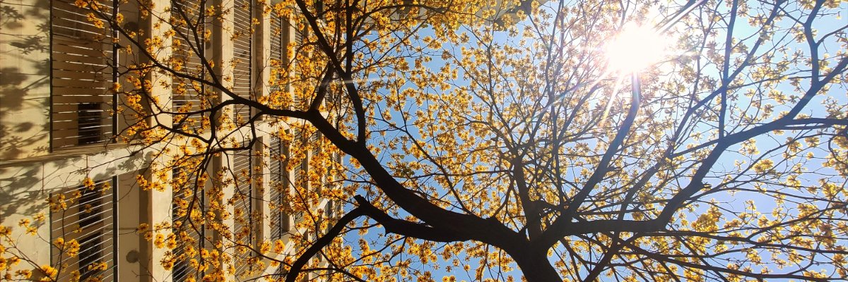 Sembramos Todos banner