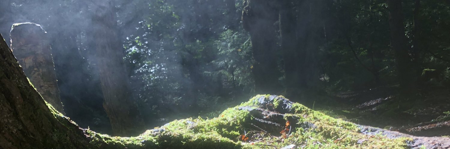 JosephGwynn's profile banner image