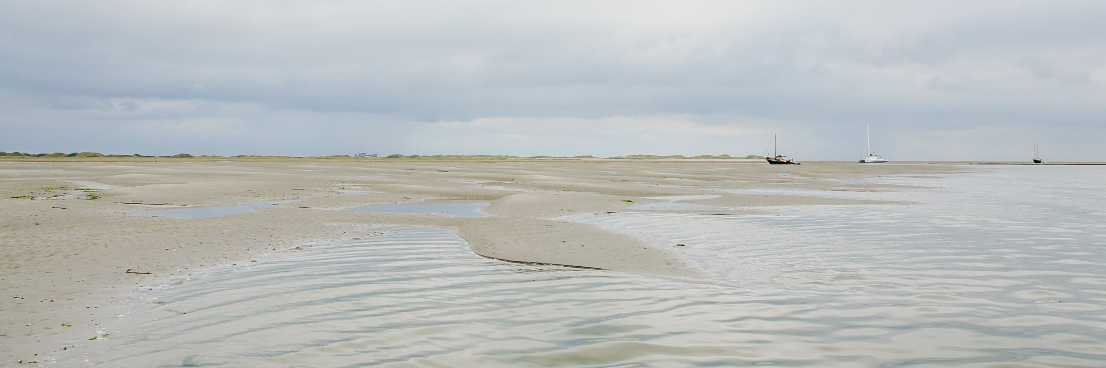PrimaPrent's profile banner image