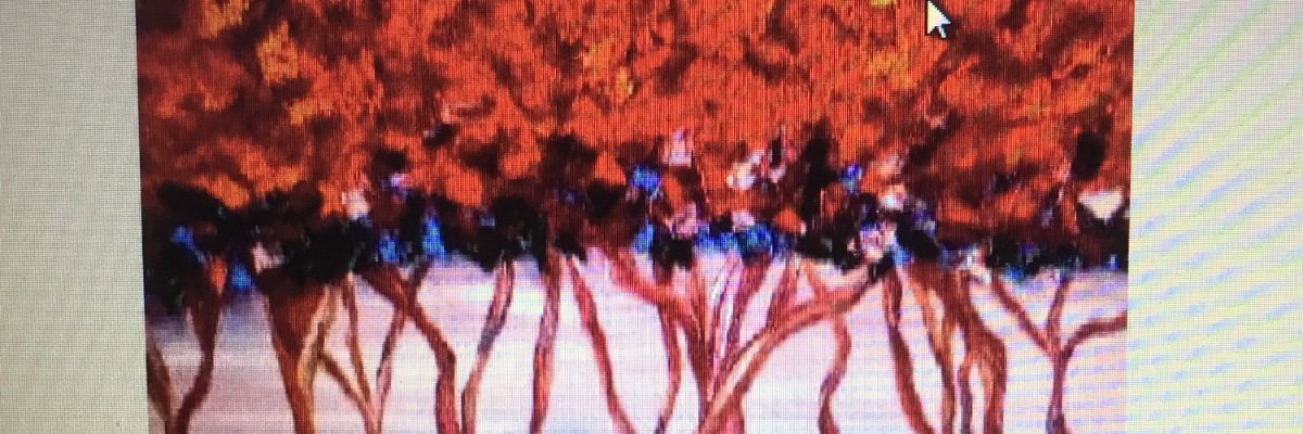 MotaClaudio's profile banner image