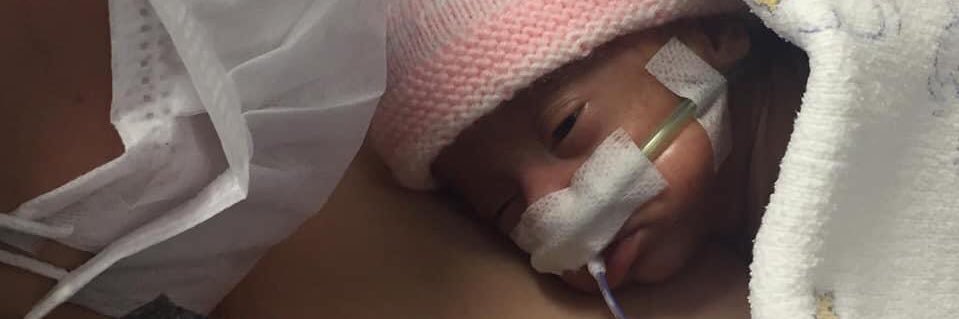 minoşka engin banner