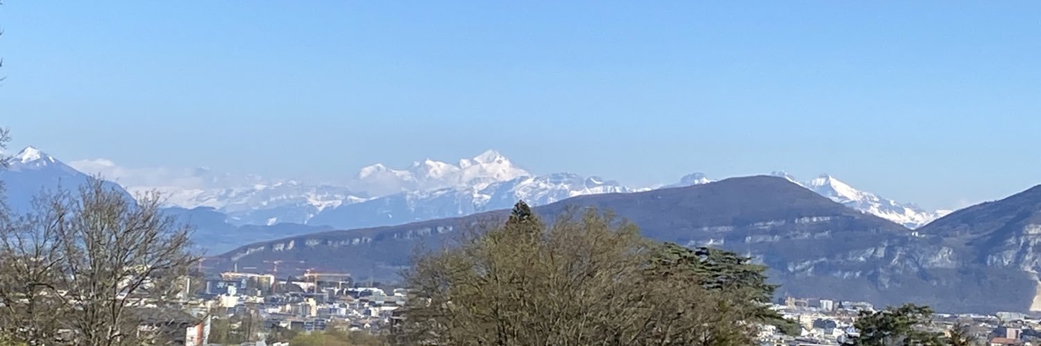 carmendolea's profile banner image