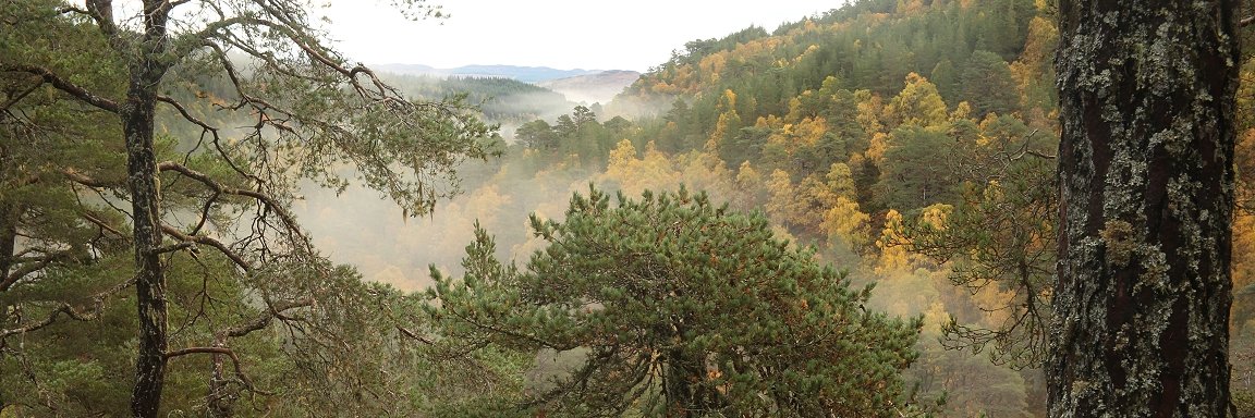 Action for Earth banner