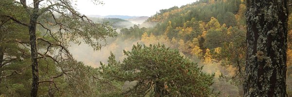 ActionforEarth Profile Banner