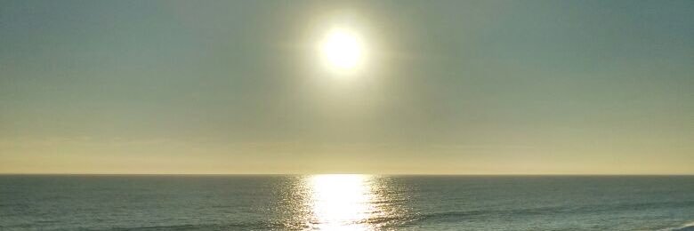 matesol's profile banner image