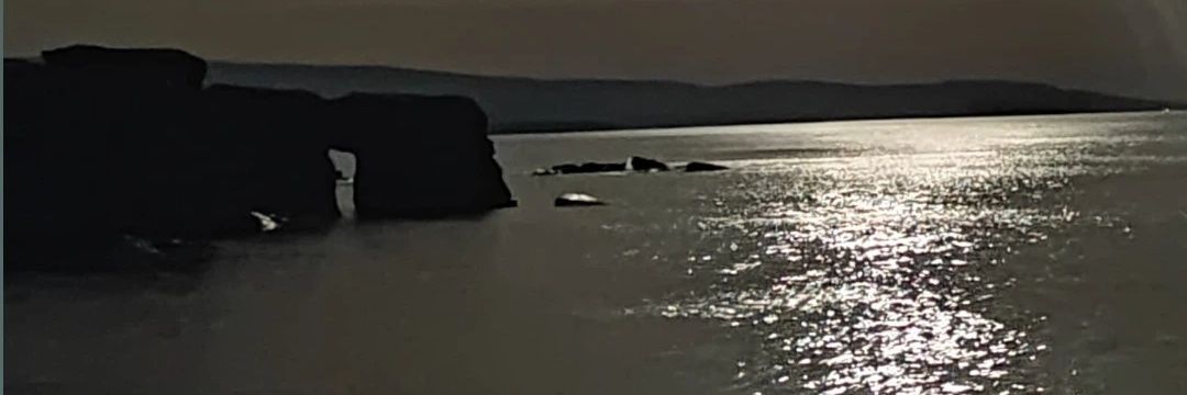 ens_eker1's profile banner image