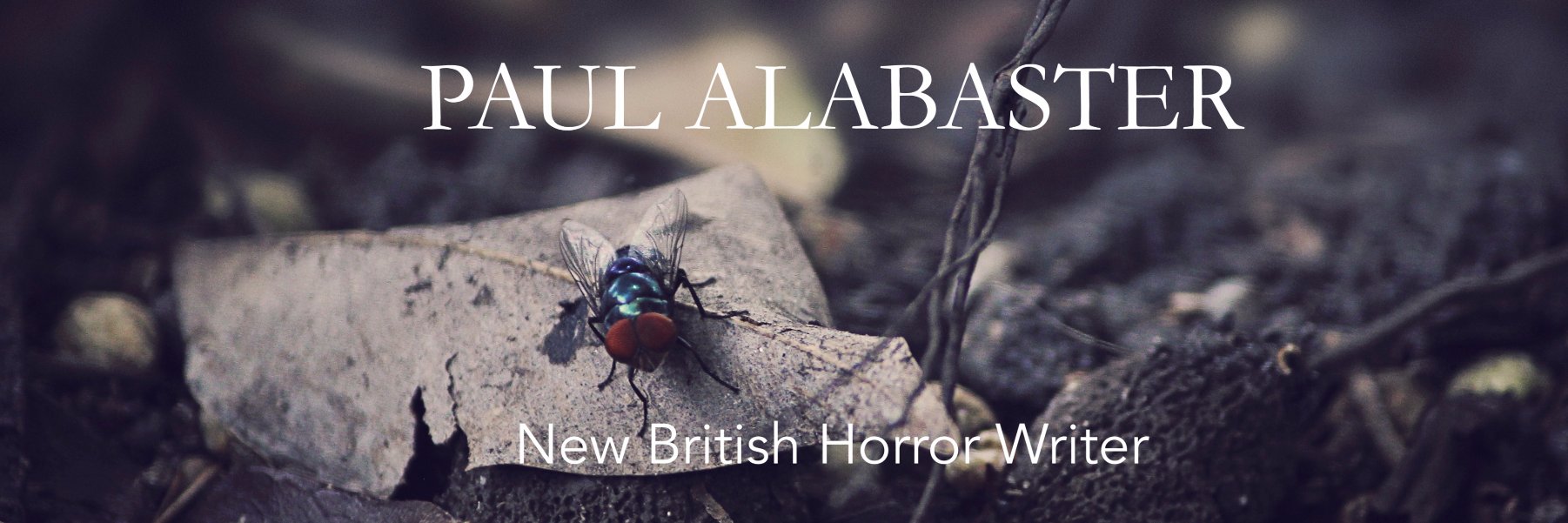 PaulAlabaster's profile banner image