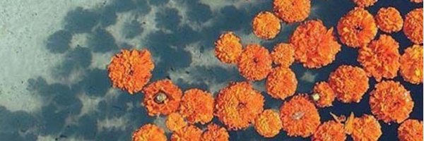 mwiland Profile Banner