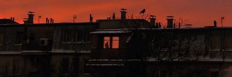 Tapiwadick's profile banner image