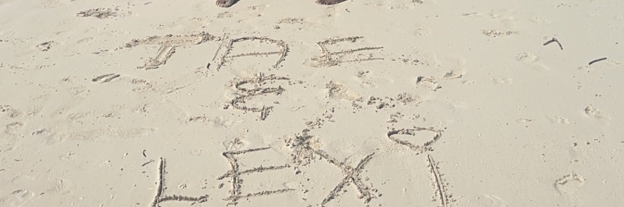 Lexyyshay's profile banner image