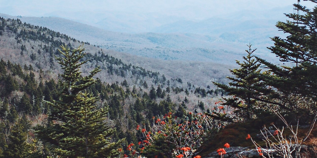 itstaylorjarvis's profile banner image