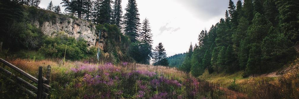 Lincoln_NF's profile banner image