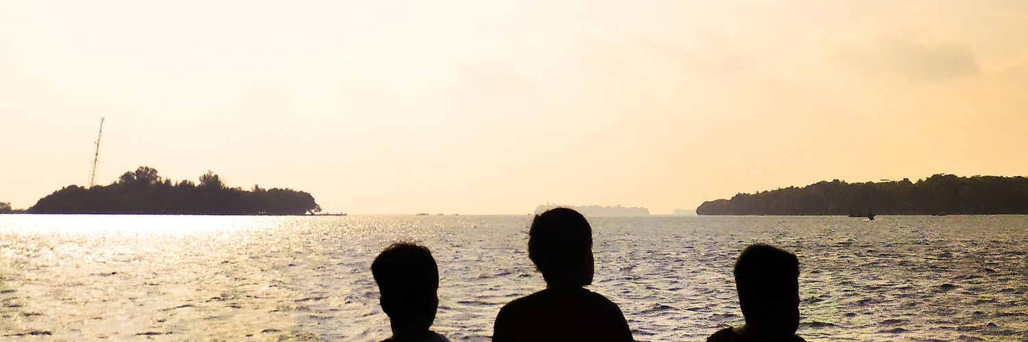 dualipet's profile banner image