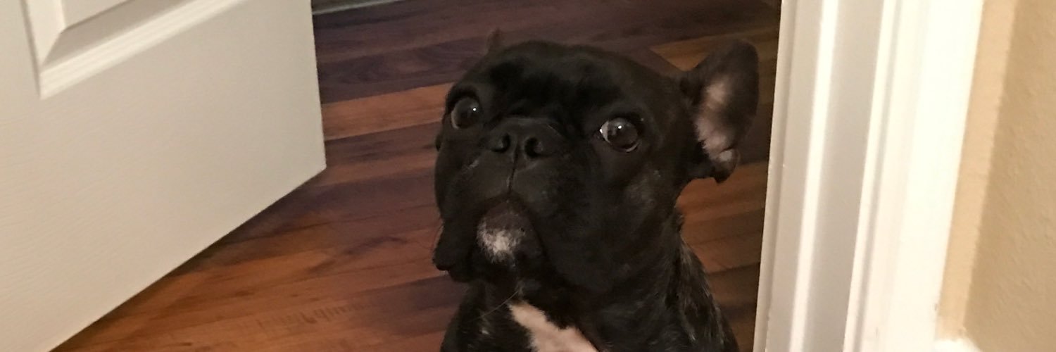 Asatty55's profile banner image
