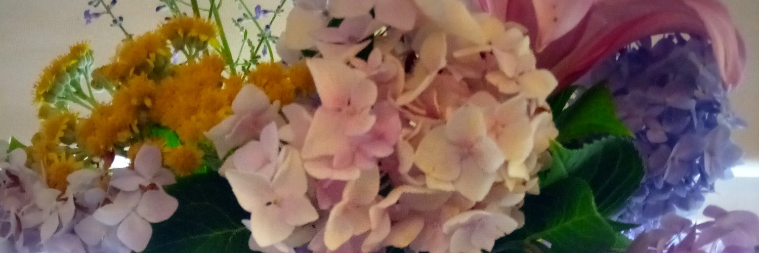 Michelle Moravec banner