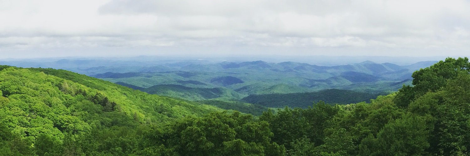 lrkappadee's profile banner image