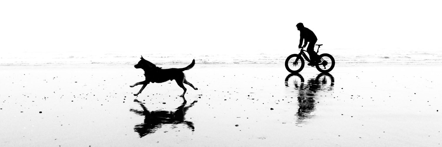 carolineinscot's profile banner image