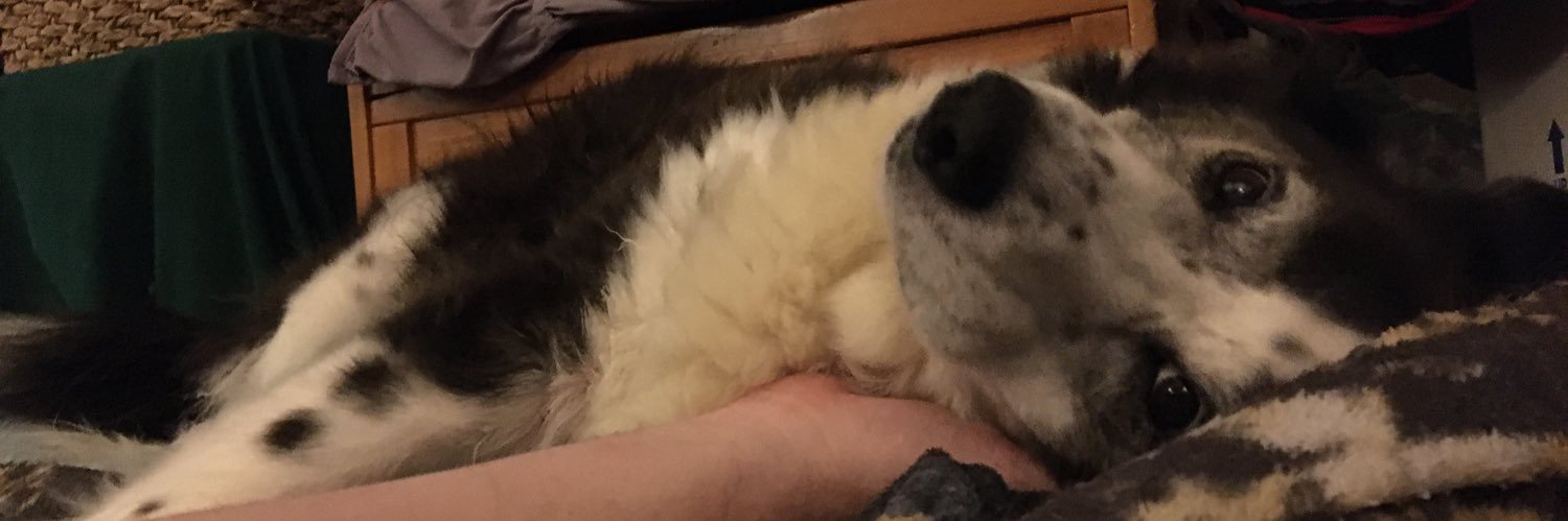 Caleb J Van Nice banner