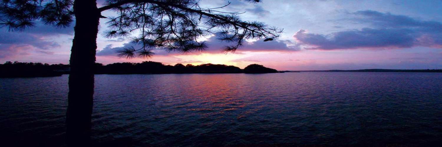 Travel_Bee's profile banner image