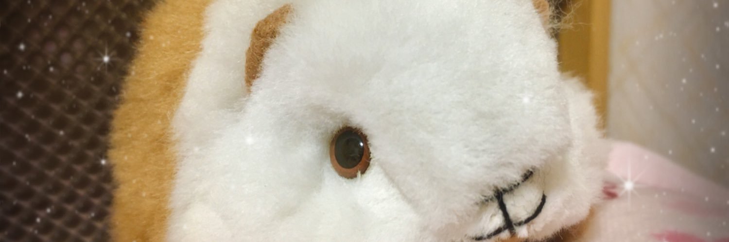 kitahuji's profile banner image