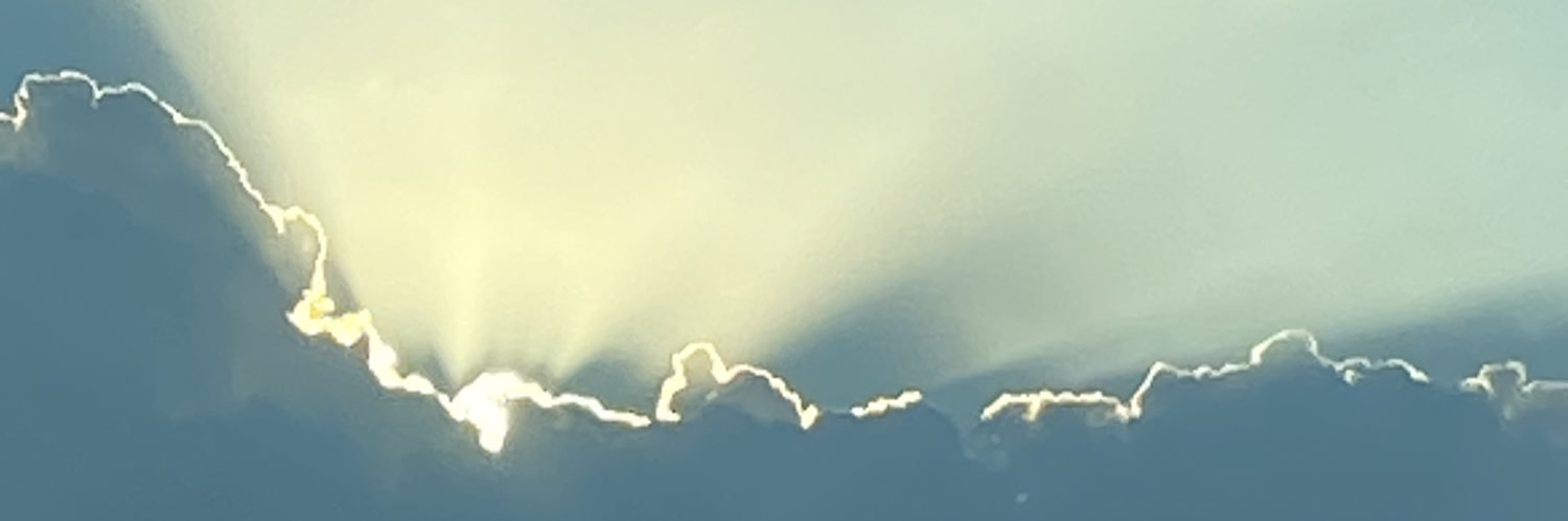 Deborah Griese banner