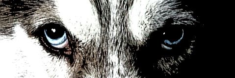 LuLazerus's profile banner image