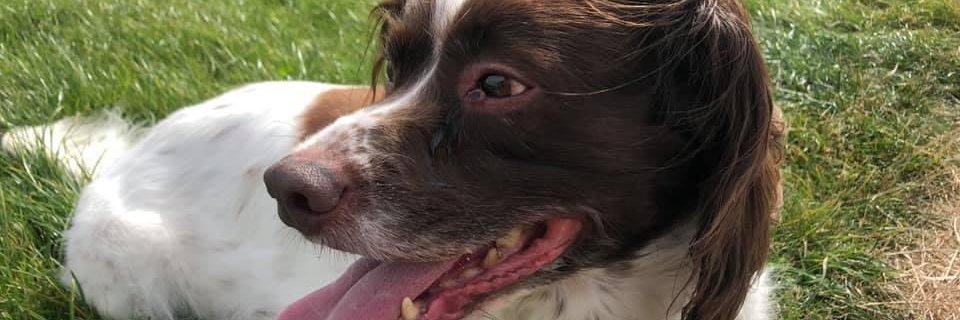 MWakefieldECHO's profile banner image