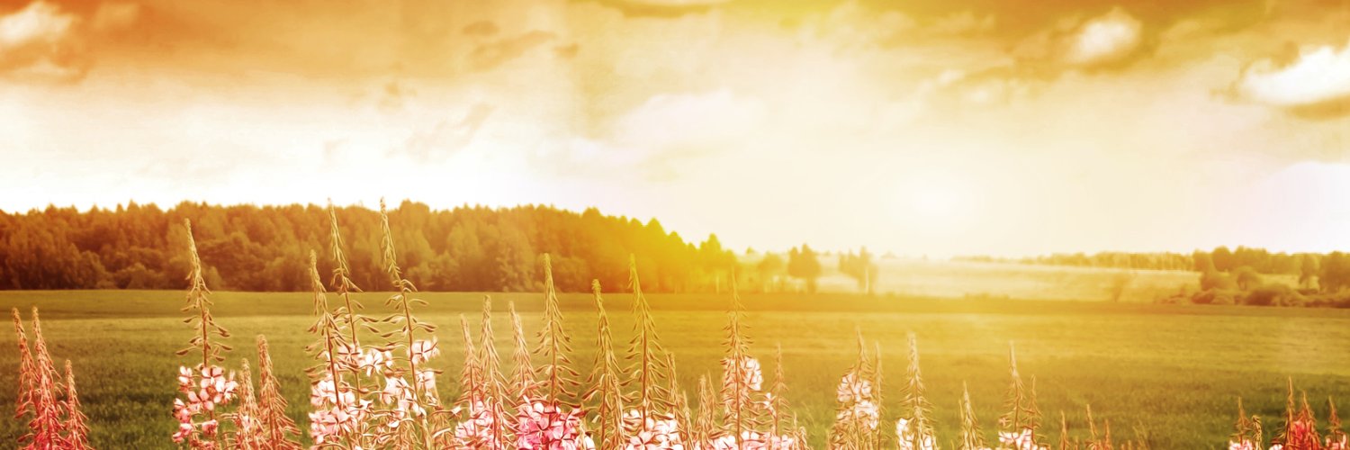 messirazer's profile banner image