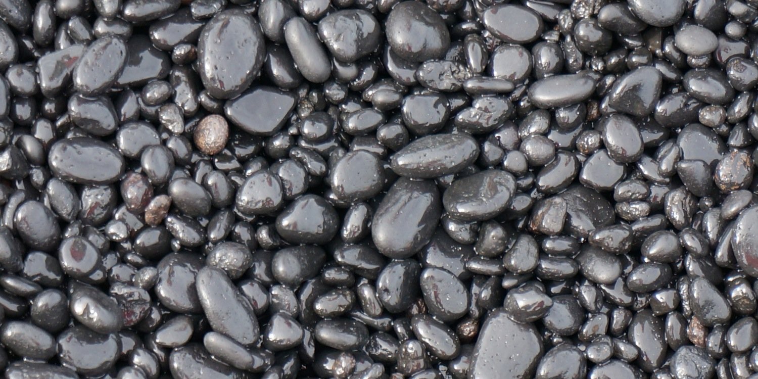 Cuttlefish350's profile banner image