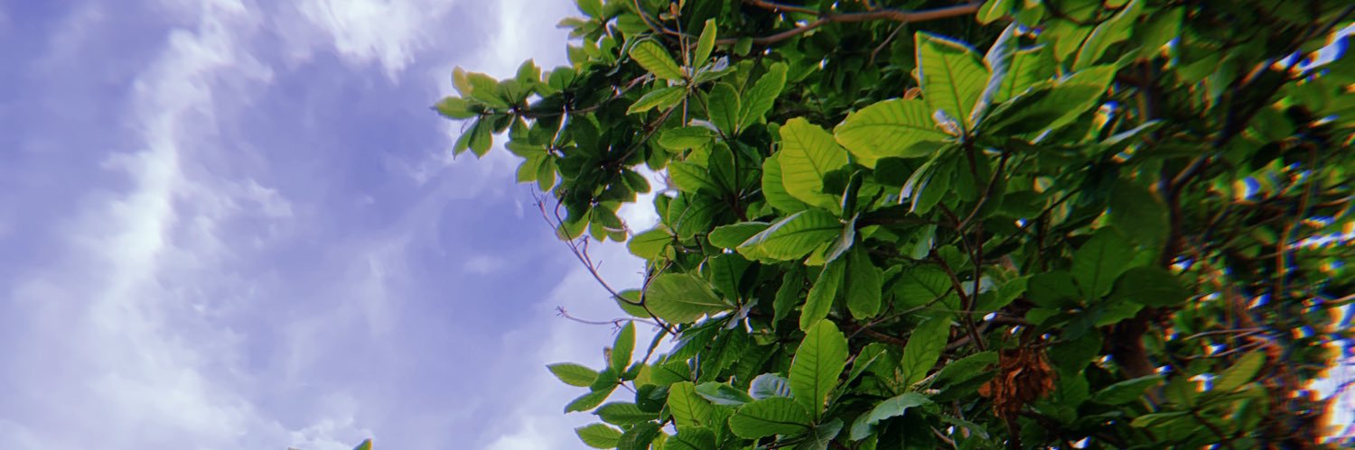 Yazzaya's profile banner image