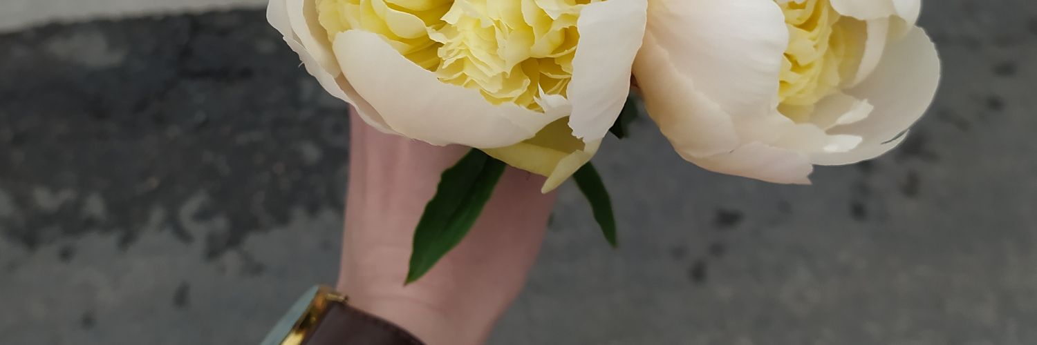 KristaPapede's profile banner image