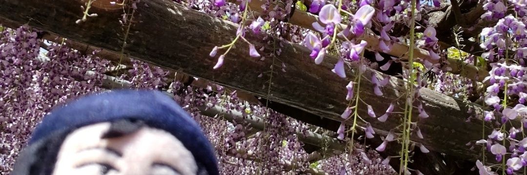 まくら banner