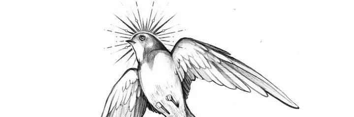 xsuricik's profile banner image
