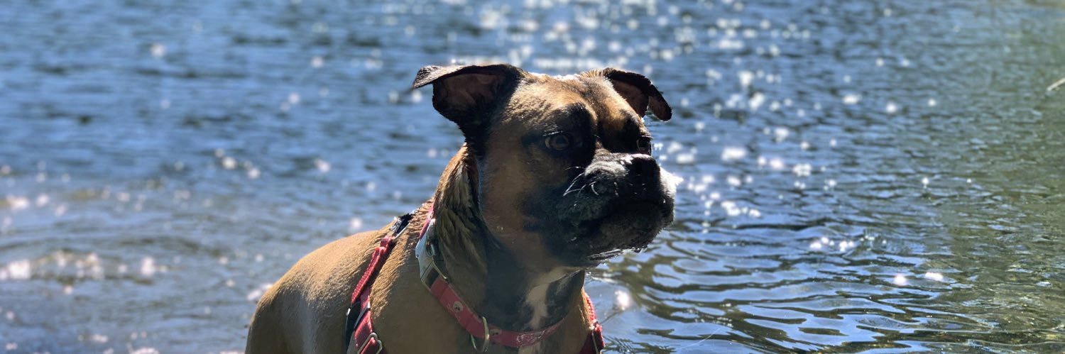 onebigassdog's profile banner image