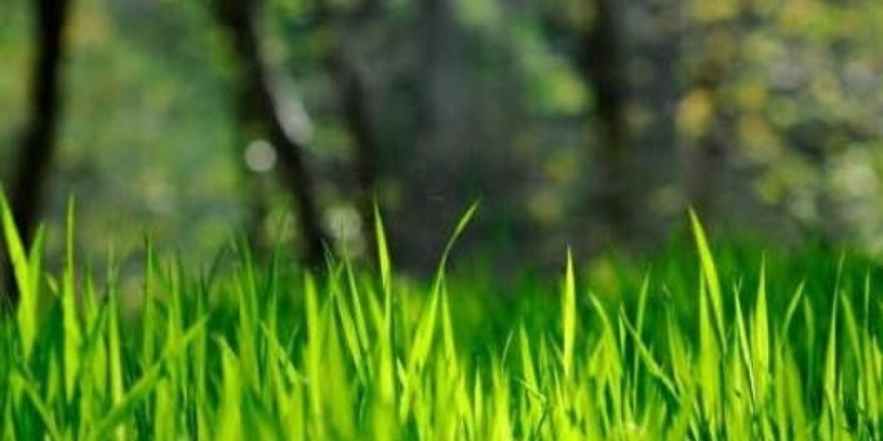 EcoClick Venezuela banner