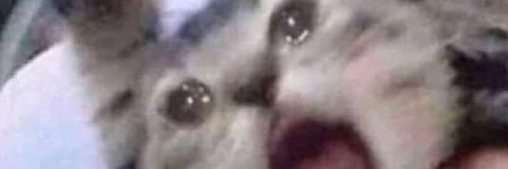 Neutral_faces's profile banner image