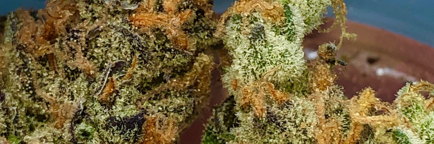 sethstevenss's profile banner image