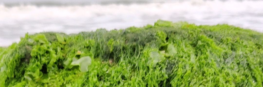 prabu4891's profile banner image