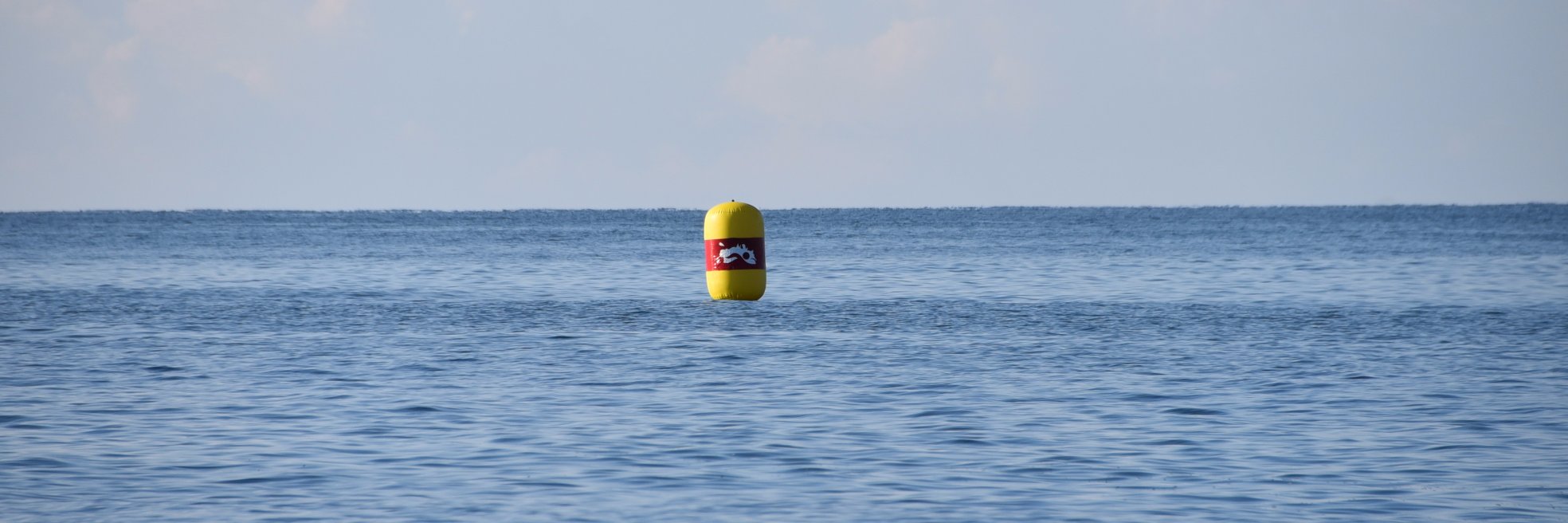 Revista Open Swim banner