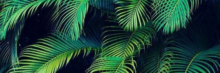 Nena_Daldini's profile banner image