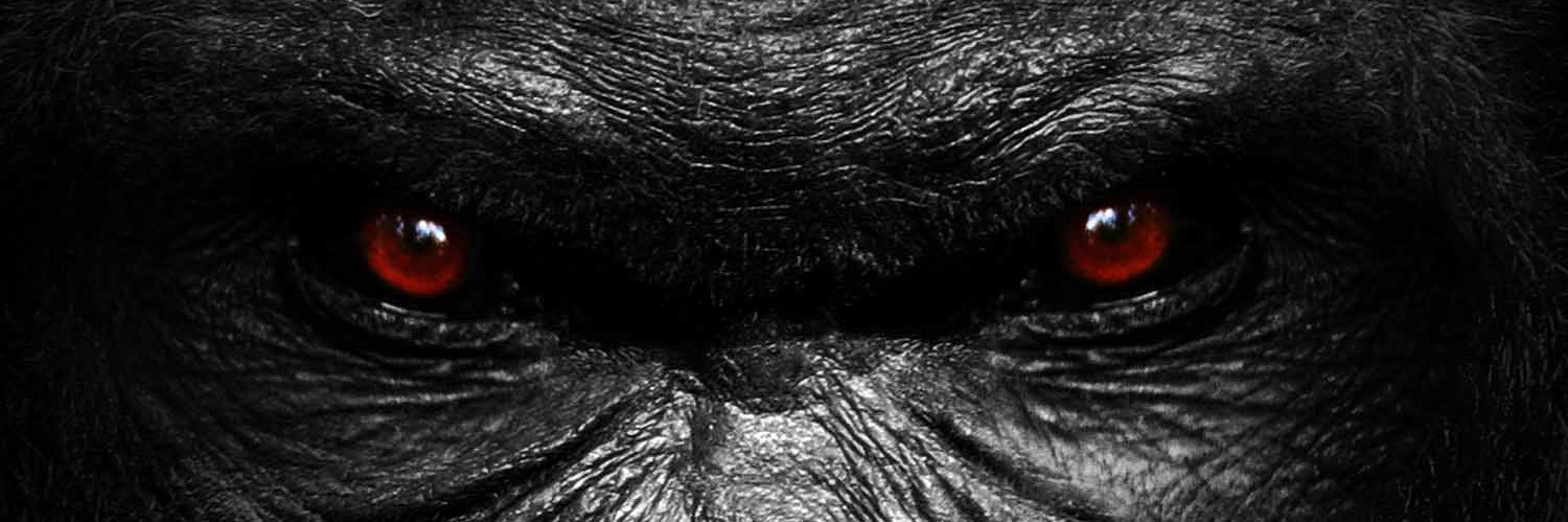 TheRealJBK3's profile banner image