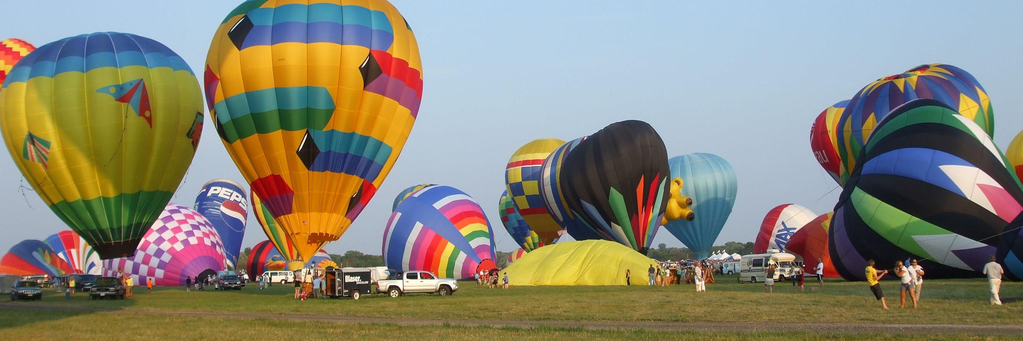 Meredith Salisbury banner