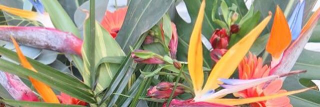 JulietaSedler's profile banner image