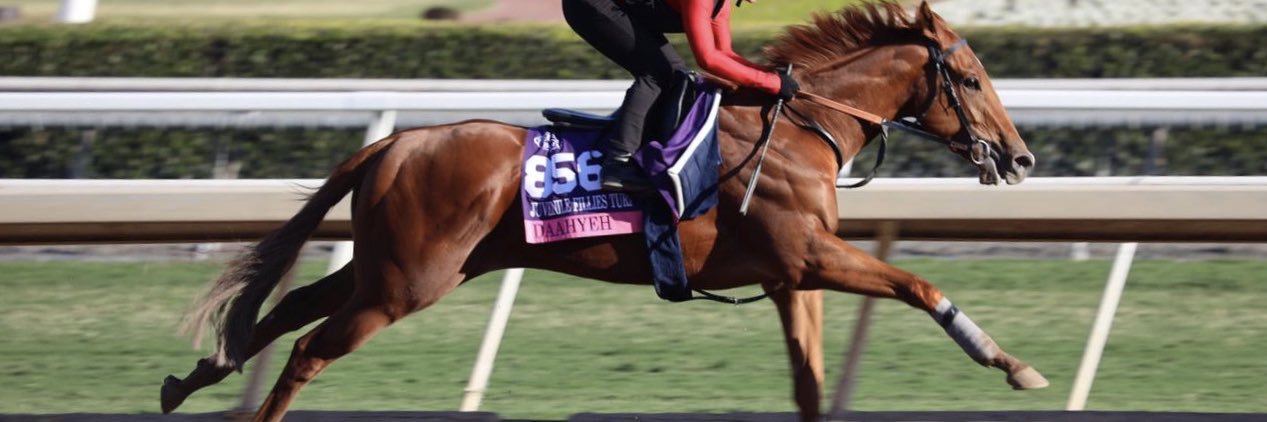 Oliver St Lawrence banner