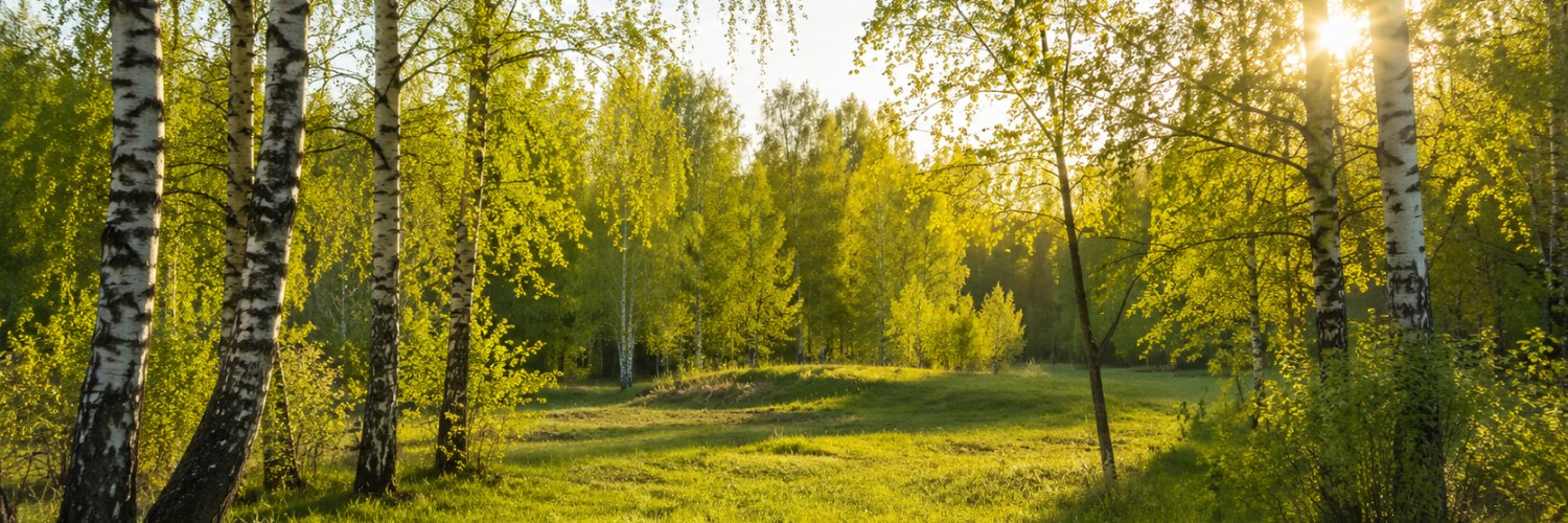 Geor_ge's profile banner image