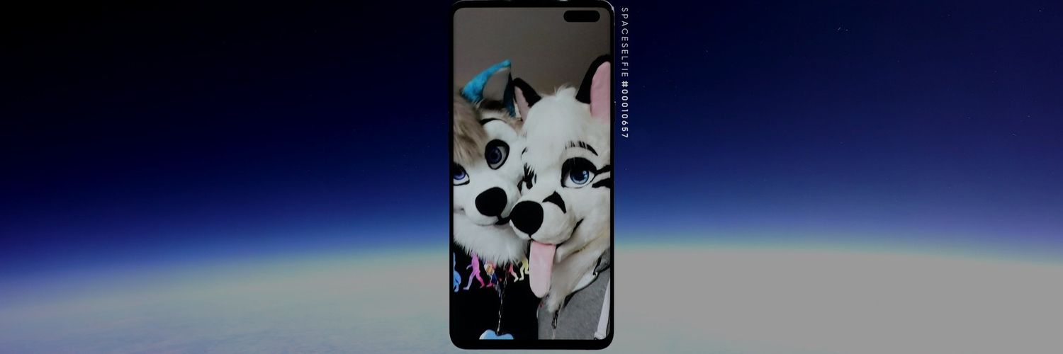 RaffieFox's profile banner image