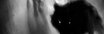 kness_dar's profile banner image