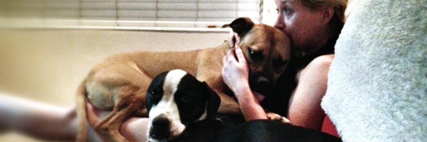 bmorepitbull's profile banner image